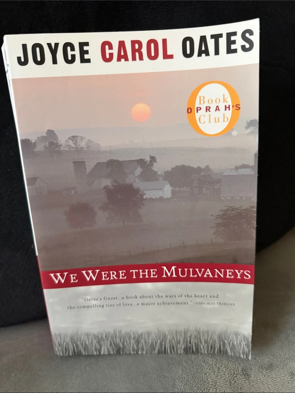 We Were the Mulvaneys by Joyce Carol Oates - Red & Cream Cover